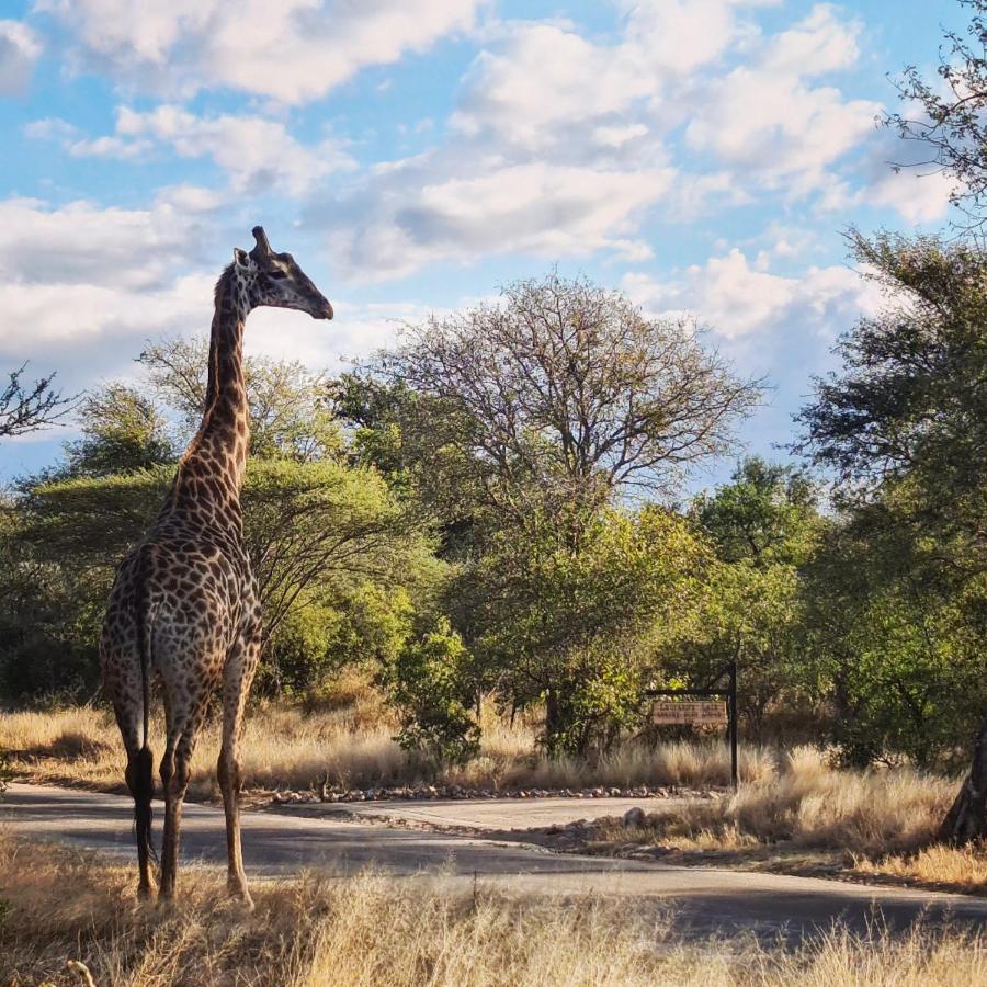 Leopard'S Lair Bush Lodge Hoedspruit Bagian luar foto